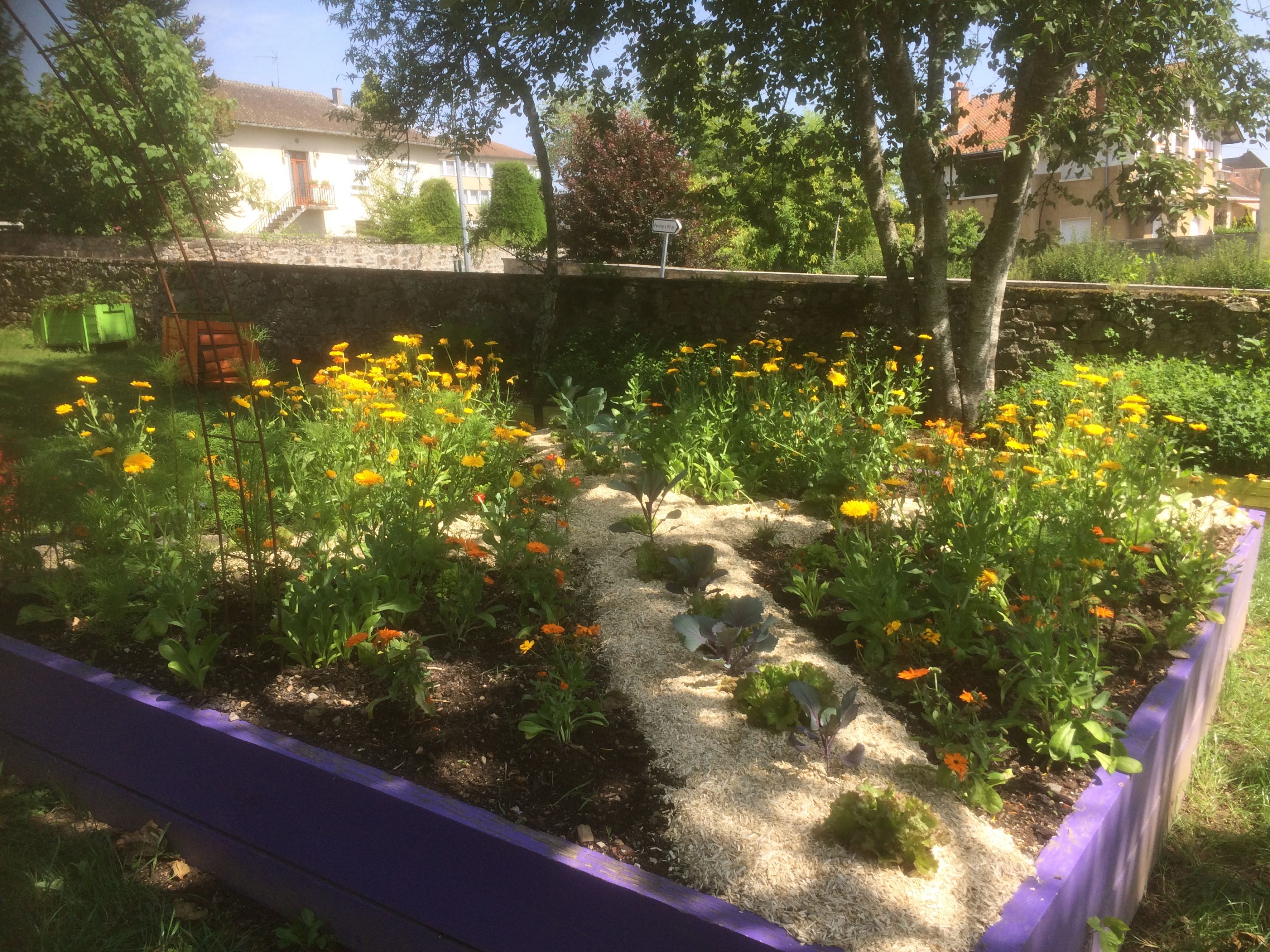 Potager 3